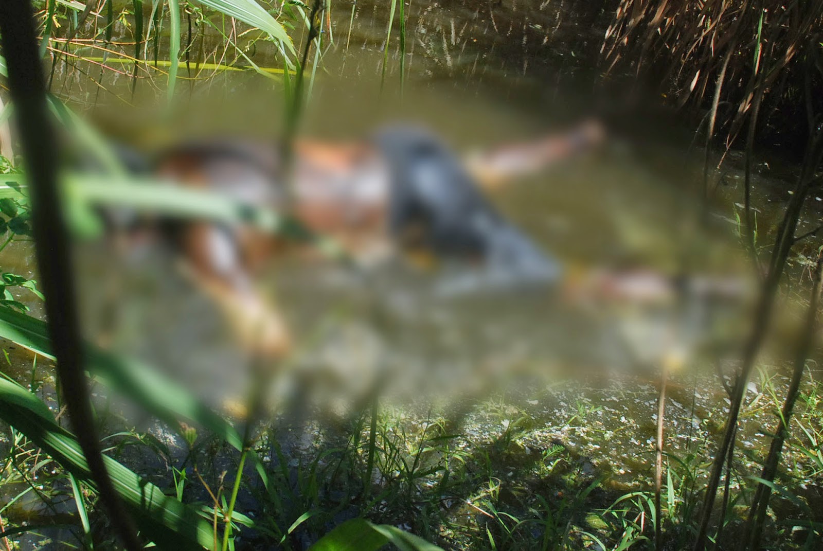 Achado de Cadáver em Pedra Branca