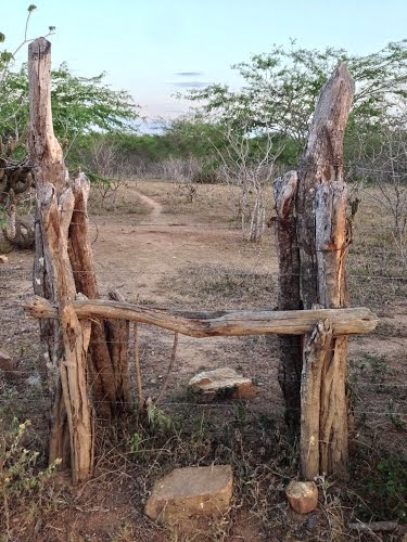 Fatalidade rapaz morre vítima de acidente em um passador
