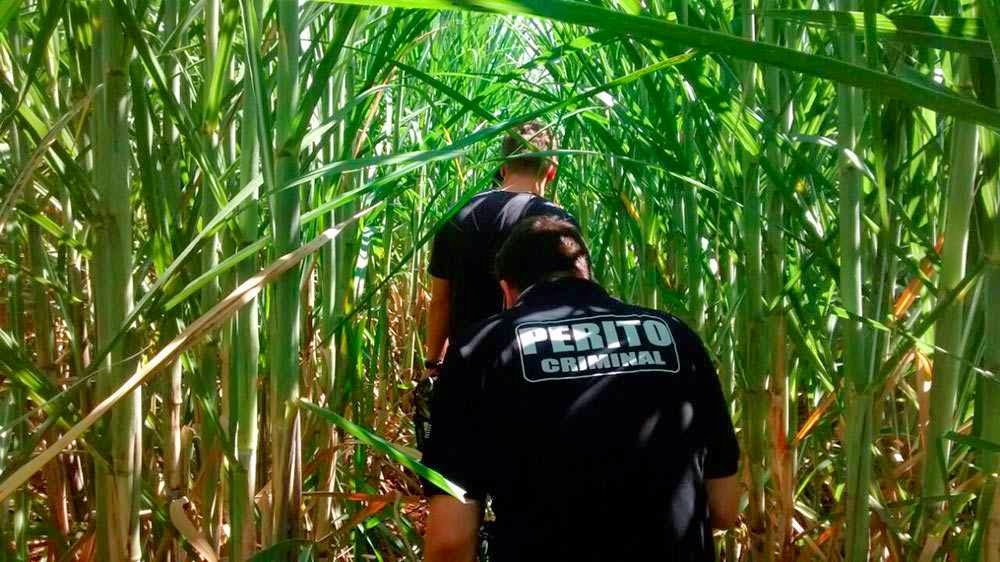Ossada humana encontrada no interior de Leme-SP, seria de um Boaviagense desaparecido