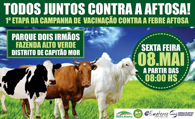 Pedra Branca – Distrito de Capitão Mor receberá evento de lançamento da campanha da febre aftosa 2015