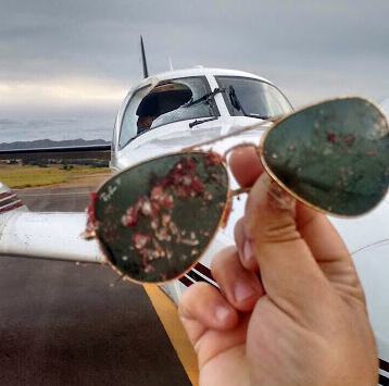 Urubu atinge avião e quase provoca tragédia em São Luis