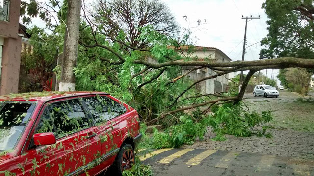 Pedrabranquense registra destruição após forte chuva de granizo no interior de São Paulo.