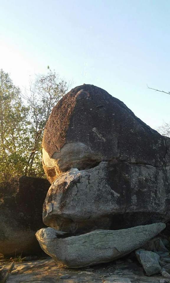 Pedra com aparência de um Gorila chama atenção na comunidade de Bonfim ” KM 20″  Senador Pompeu