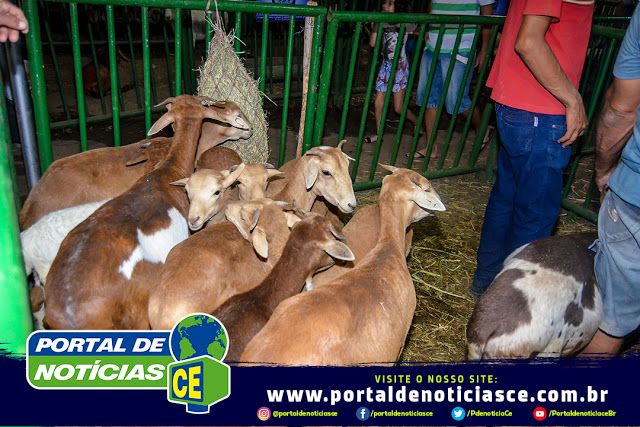 Fotos da abertura da 1ª Expopedra