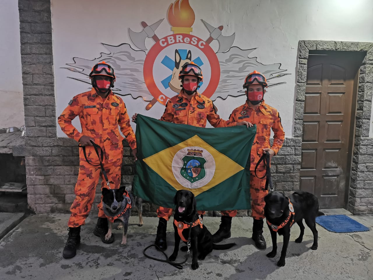 Com auxílio de cães, bombeiros localizam senhor perdido em mata por mais de 3 dias no Ceará