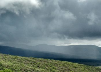 Chove em 71 municípios do Ceará: Confira os registros da região e em Pedra Branca