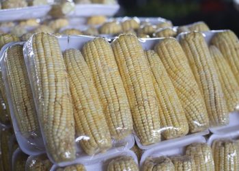 Começa a procura por produtos juninos na Ceasa em Maracanaú