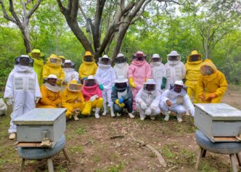 Jovens do Projeto São José/SDA recebem capacitação em Apicultura