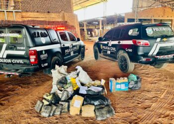 Polícia Civil incinera mais de 200 quilos de drogas na Região Sul do Ceará