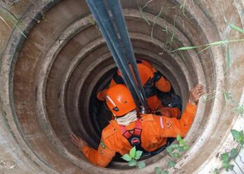 Vaca é salva  por Bombeiros após cair em cacimba de 10 metros