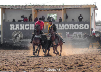 Vaquejada do Rancho Amoroso Promete Shows e Mais de R$ 20.000,00 em Premiações
