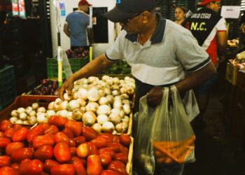 Ceasa Cariri registra queda de 29,4% no preço da cebola roxa