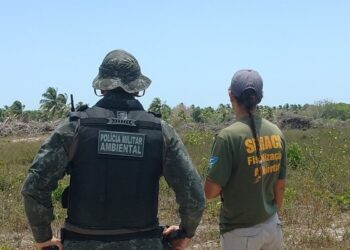 Operação Mata Atlântica em Pé no Ceará 2024: Multas Superam R$ 16 Milhões por Desmatamento Ilegal
