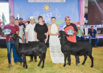 FestBerro 2024: Encontro do Agronegócio com Mega Shows de Wesley Safadão, Bell Marques e Léo Santana Promete Movimentar Tauá