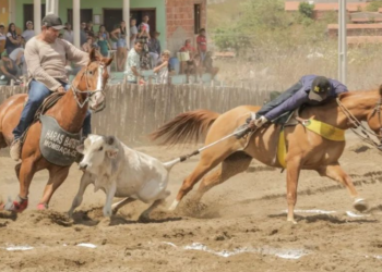 5ª Etapa do Circuito Mombacense de Vaquejada terá início neste 11 de Outubro no Parque União