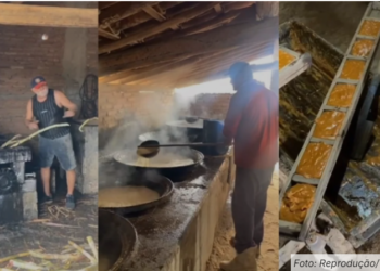 Tradição Sertaneja: Moagem de Cana e Produção de Rapadura Revivem em Manituba, Quixeramobim