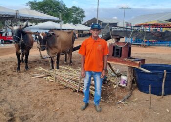 Engenho do Seu Manteiga: Tradição e Destaque no FestBerro 2024