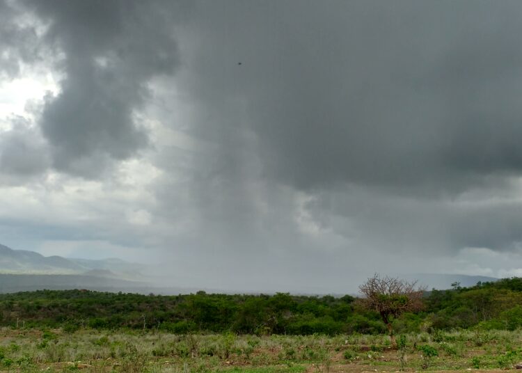 Ceará Registra Chuvas em 106 Municípios; Previsão Indica Continuidade em Regiões do Estado