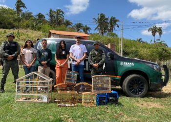 Polícia Militar do Ceará e ONG devolvem 72 aves resgatadas ao habitat natural no Cariri