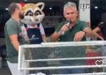 Rede de Lojas Guaxinim realiza sorteio especial para mecânicos e clientes