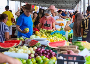 Feira Livre de Tauá: Uma Celebração da Cultura e Economia Local