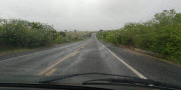 Chuvas banham 111 municípios do Ceará; Araripe registra maior precipitação