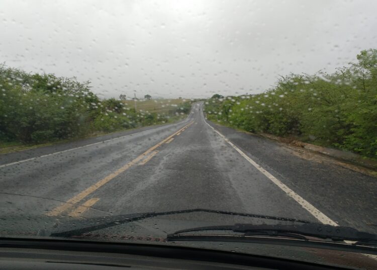Chuvas banham 111 municípios do Ceará; Araripe registra maior precipitação
