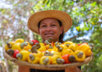 SDA apoia feiras da agricultura familiar no Sertão Central