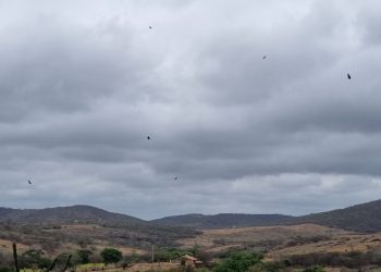 Municípios do Sertão Central  amanhece com neblina e temperaturas amenas; previsão aponta calor intenso nos próximos dias
