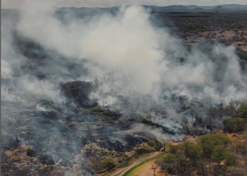 Área de mata é consumida pelo fogo na BR-020, em Madalena