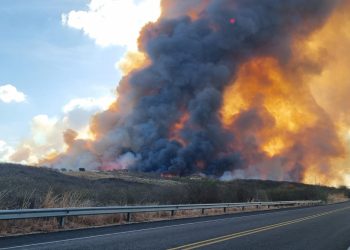 Boa Viagem, Mombaça e Pedra Branca entre os municípios com mais focos de incêndio em novembro no Ceará