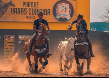 6ª Vaquejada do Haras Curitiba une grandes disputas na pista e shows de forró em Tauá