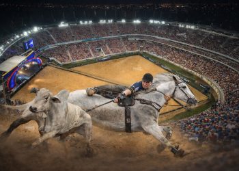 Circuito Nacional BYD de Vaquejada anuncia final inédita em estádio de futebol e premiação superior a R$ 12 milhões, com mais de 70 veículos em jogo