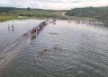 O Gigante do Sertão Desperta: Após 15 Anos, Açude Serafim Dias Volta a Sangrar em Mombaça