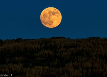 Fenômeno no céu: Lua de Morango ilumina a noite dos cearenses nesta segunda-feira (29)