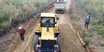 Progresso no Campo: Obras de Piçarramento Melhoram Trafegabilidade no Sítio Silvestre, em Pedra Branca