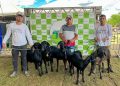 Festberro 2026: Tauá se prepara para o maior encontro de cultura e agropecuária do sertão cearense