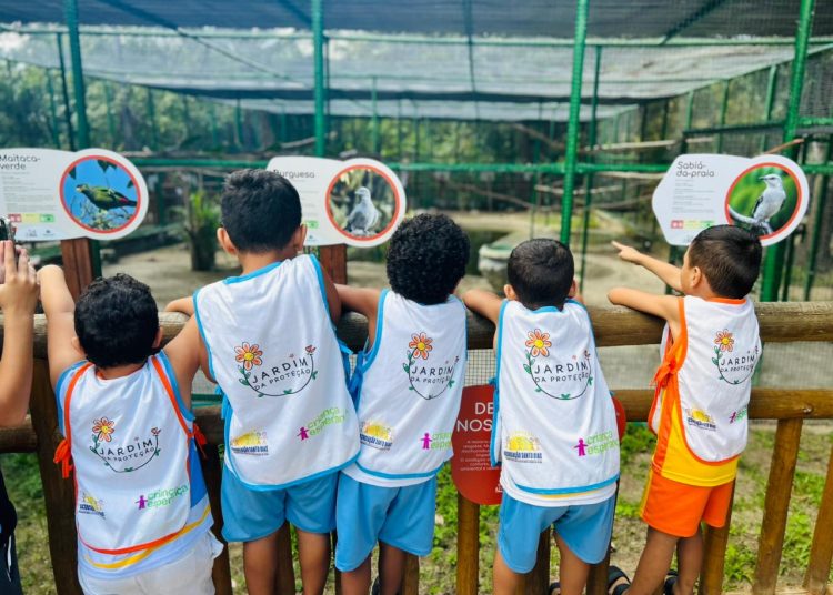 Projeto Jardim da Proteção Beneficia Mais de 800 Crianças e Fortalece Cultura de Cuidado na Primeira Infância no Ceará