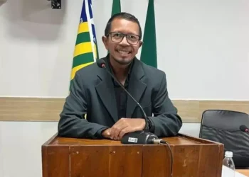 Tragédia no Piauí: Vereador de Regeneração morre após ataque com cerca de 2 mil picadas de abelhas