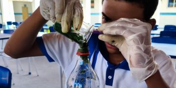 Estudantes de Pedra Branca desenvolvem alternativa natural aos agrotóxicos em projeto de ciências da escola pública